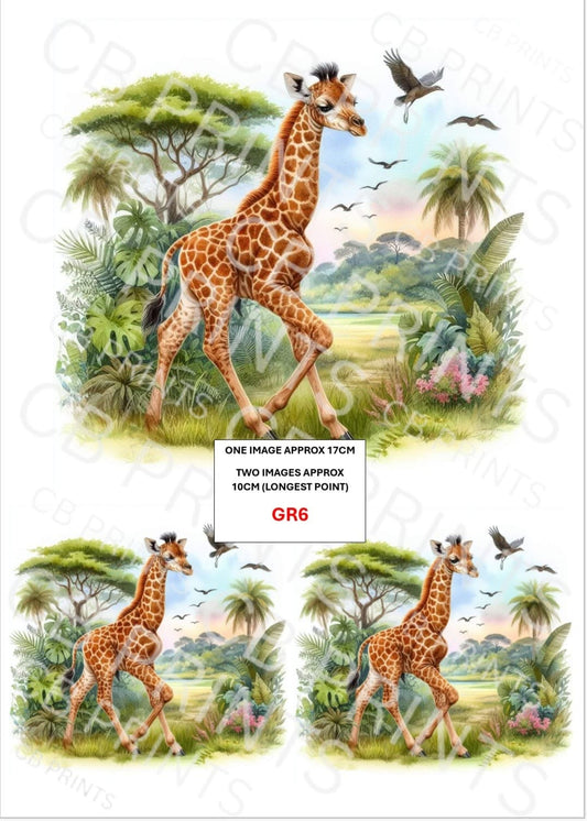Giraffe Decoupage Print GR6 | Mulberry Paper