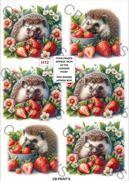 Hedgehog Decoupage Print H12 | Mulberry Paper