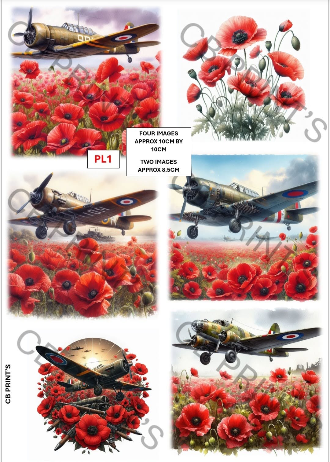 Plane Decoupage Paper Print PL1 | Mulberry Paper | CB Paper Prints