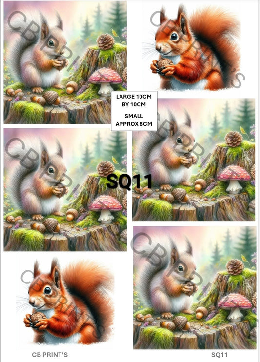 Squirrel Decoupage Print SQ11 | Mulberry Paper