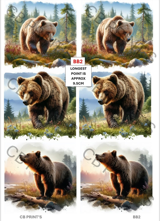 Brown Bear Decoupage Paper BB2 – Mulberry Paper Print