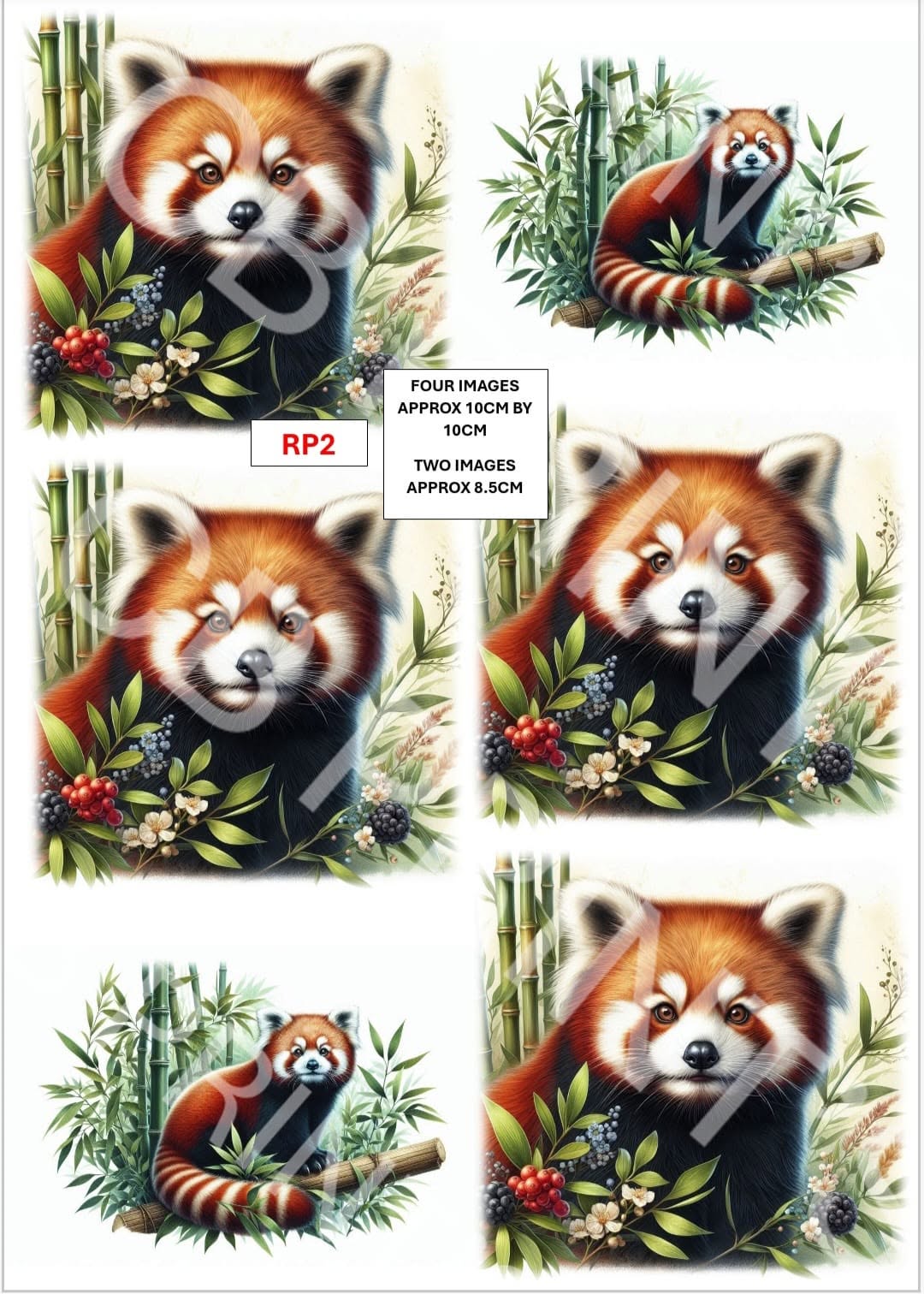 Red Panda Decoupage Paper Print RP2 | Mulberry Paper | CB Paper Prints