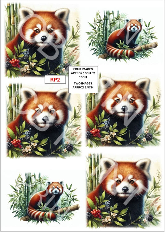 Red Panda Decoupage Paper Print RP2 | Mulberry Paper | CB Paper Prints
