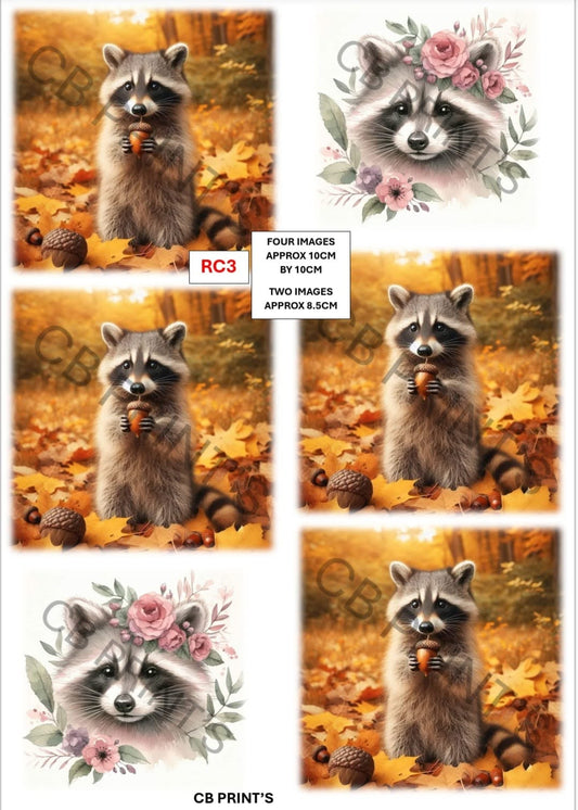 Raccoon Decoupage Paper Print RC3 – Mulberry Paper