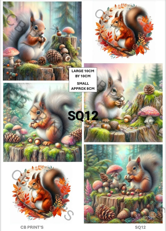 Squirrel Decoupage Print SQ12 | Mulberry Paper