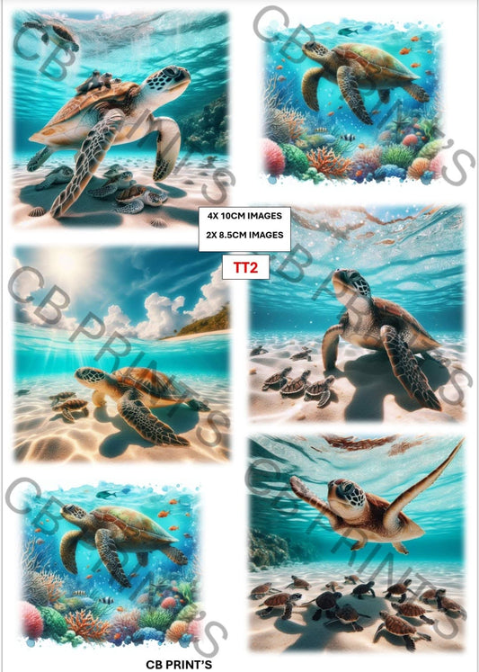 Turtle Decoupage Paper Print TT2 – Beach Mulberry Paper