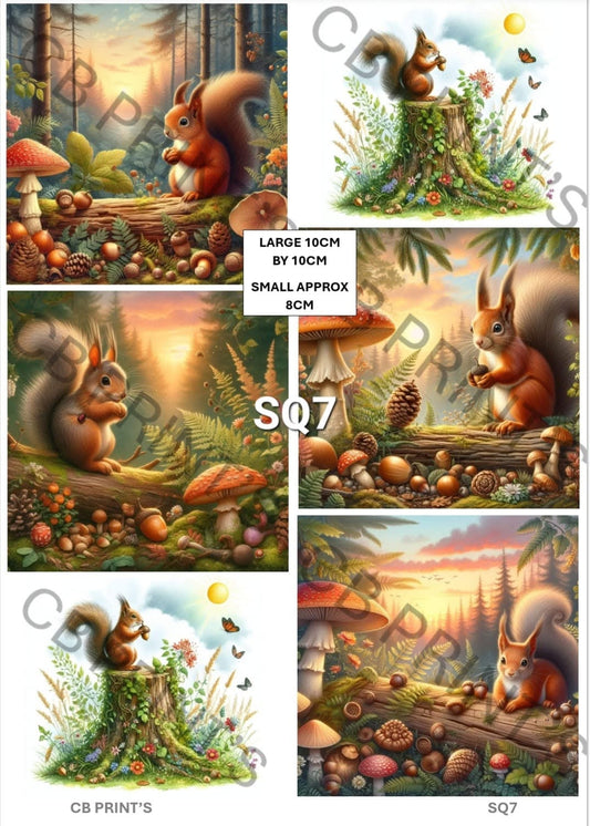 Squirrel Decoupage Print SQ7 | Mulberry Paper