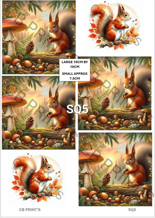 Squirrel Decoupage Print SQ5 | Mulberry Paper