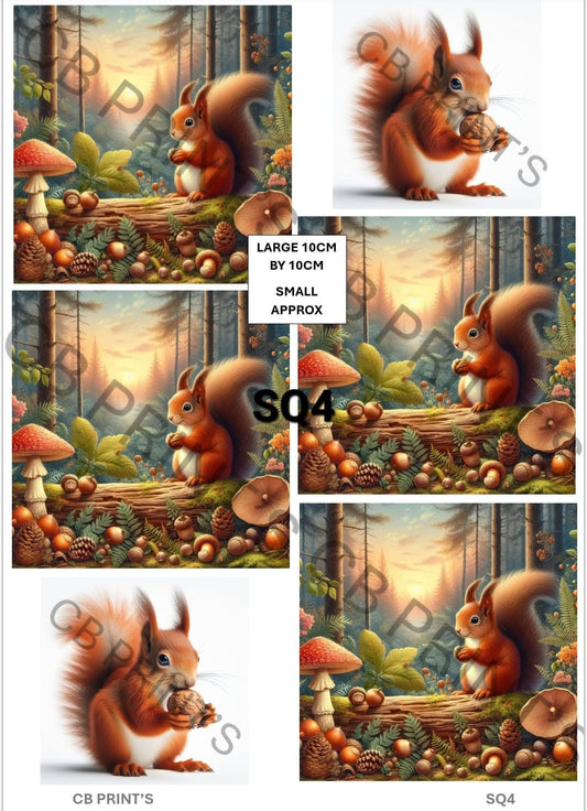 Squirrel Decoupage Print SQ4 | Mulberry Paper