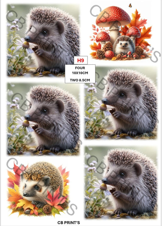 Hedgehog Decoupage Print H9 | Mulberry Paper