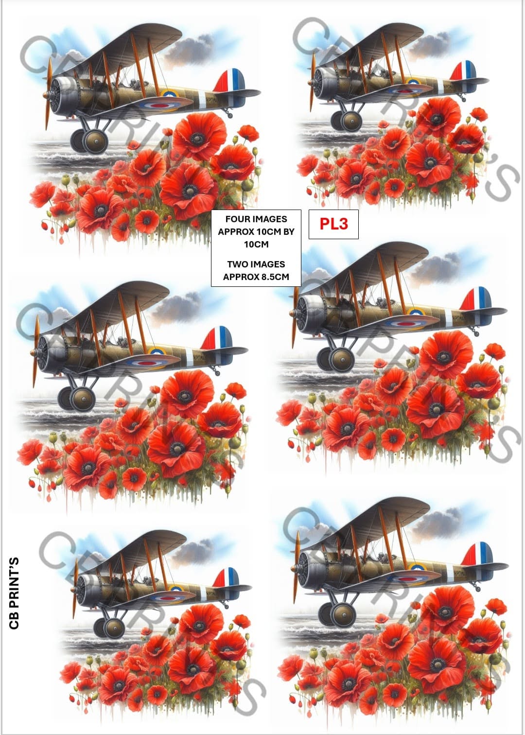 Plane Decoupage Paper Print PL3 | Mulberry Paper | CB Paper Prints
