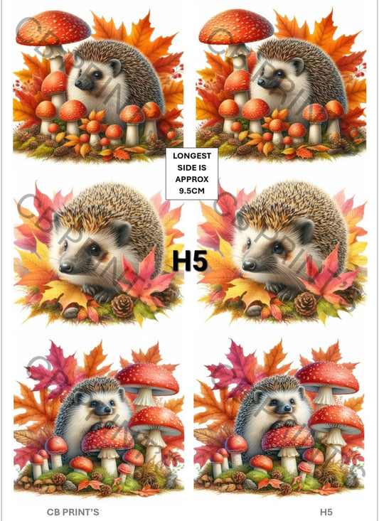 Hedgehog Decoupage Print H5 | Mulberry Paper