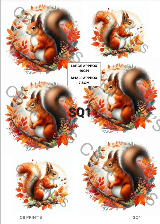 Squirrel Decoupage Print SQ1 | Mulberry Paper