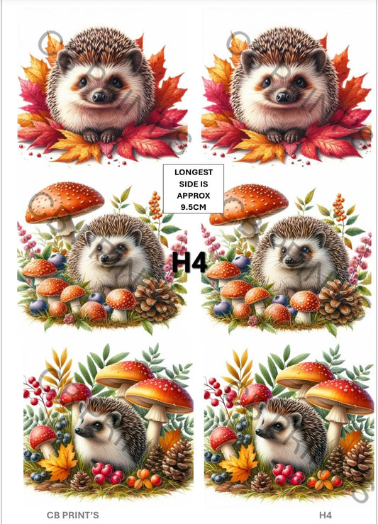 Hedgehog Decoupage Print H4 | Mulberry Paper