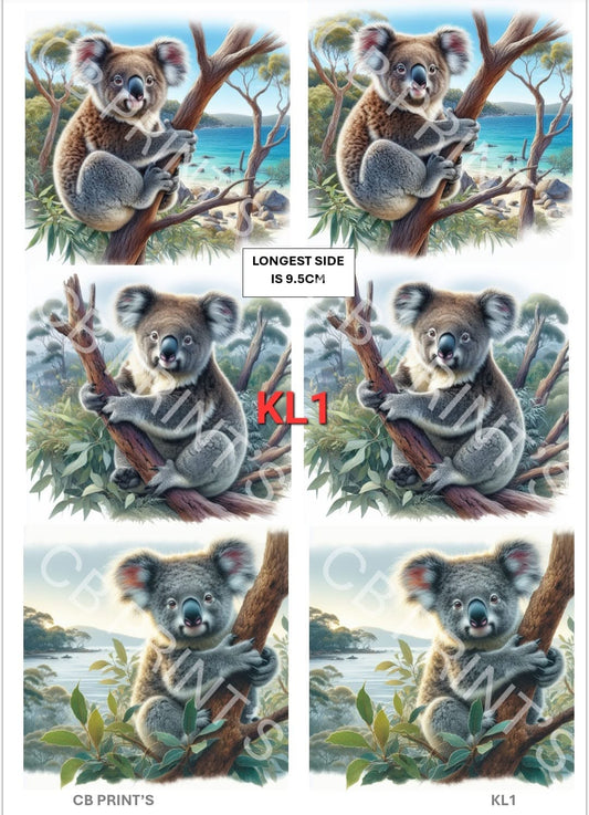 Koala Bear Decoupage Paper Print KL1 – Mulberry Paper