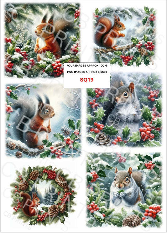 Squirrel Decoupage Print SQ19 | Mulberry Paper