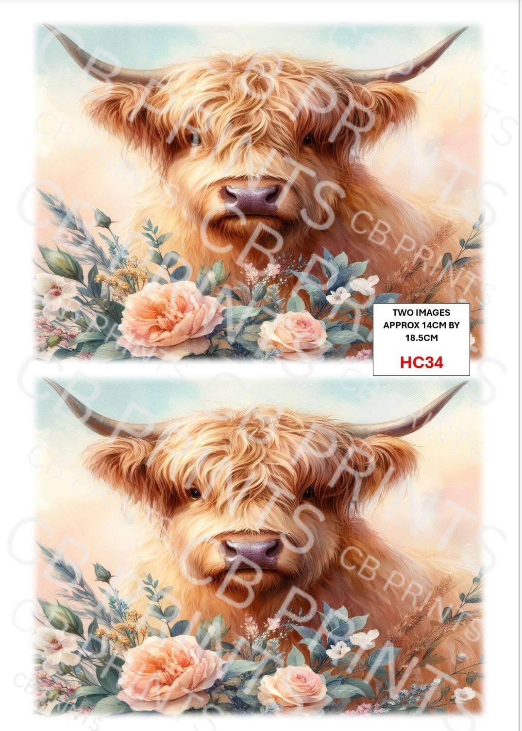Highland Cow Decoupage Print HC34 | Mulberry Paper