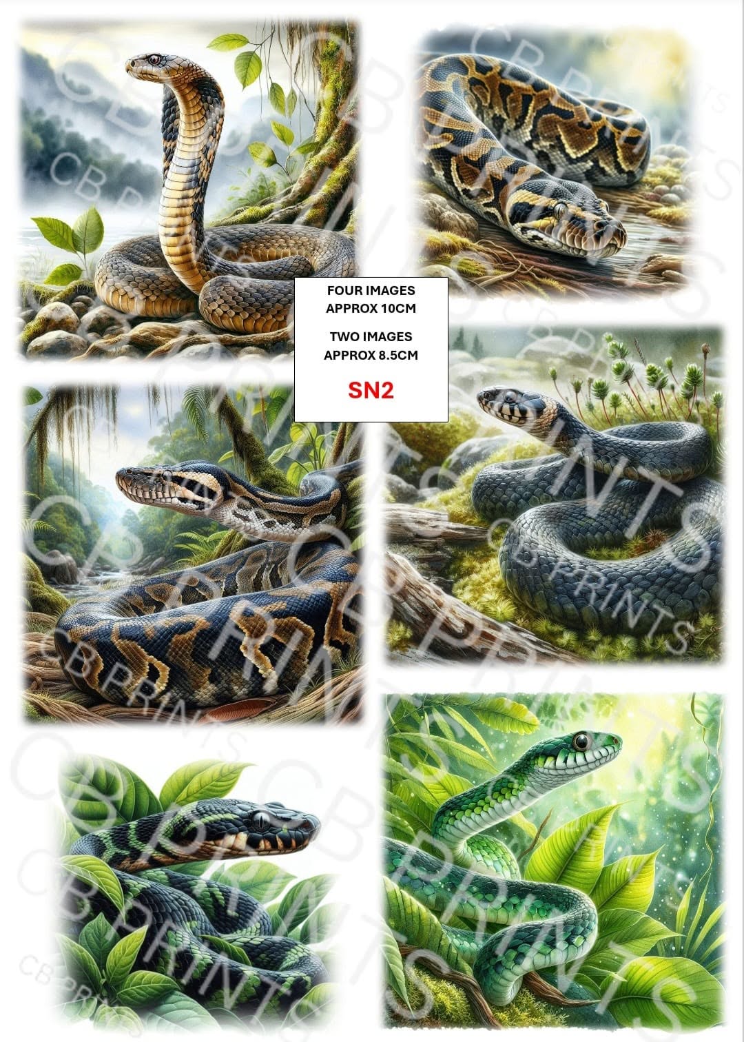 Snake Decoupage Paper Print SN2 | Mulberry Paper | CB Paper Prints