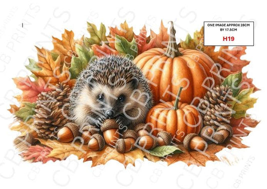 Hedgehog Decoupage Print H19 | Mulberry Paper