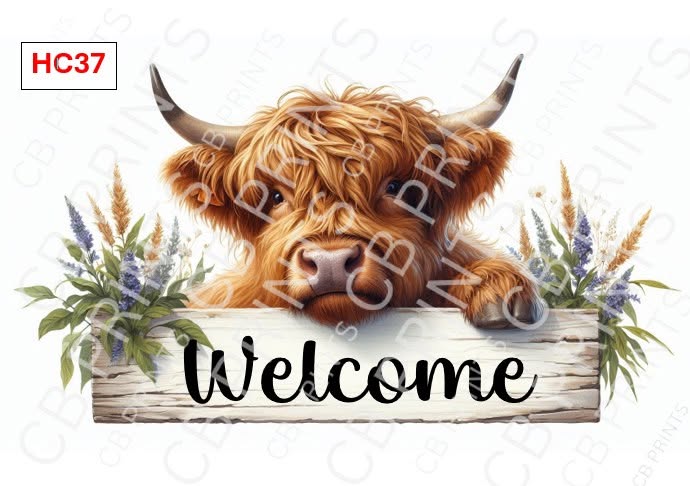 Highland Cow Decoupage Print HC37 | Mulberry Paper
