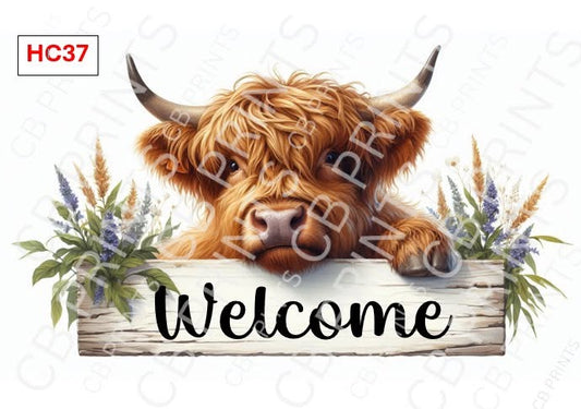 Highland Cow Decoupage Print HC37 | Mulberry Paper