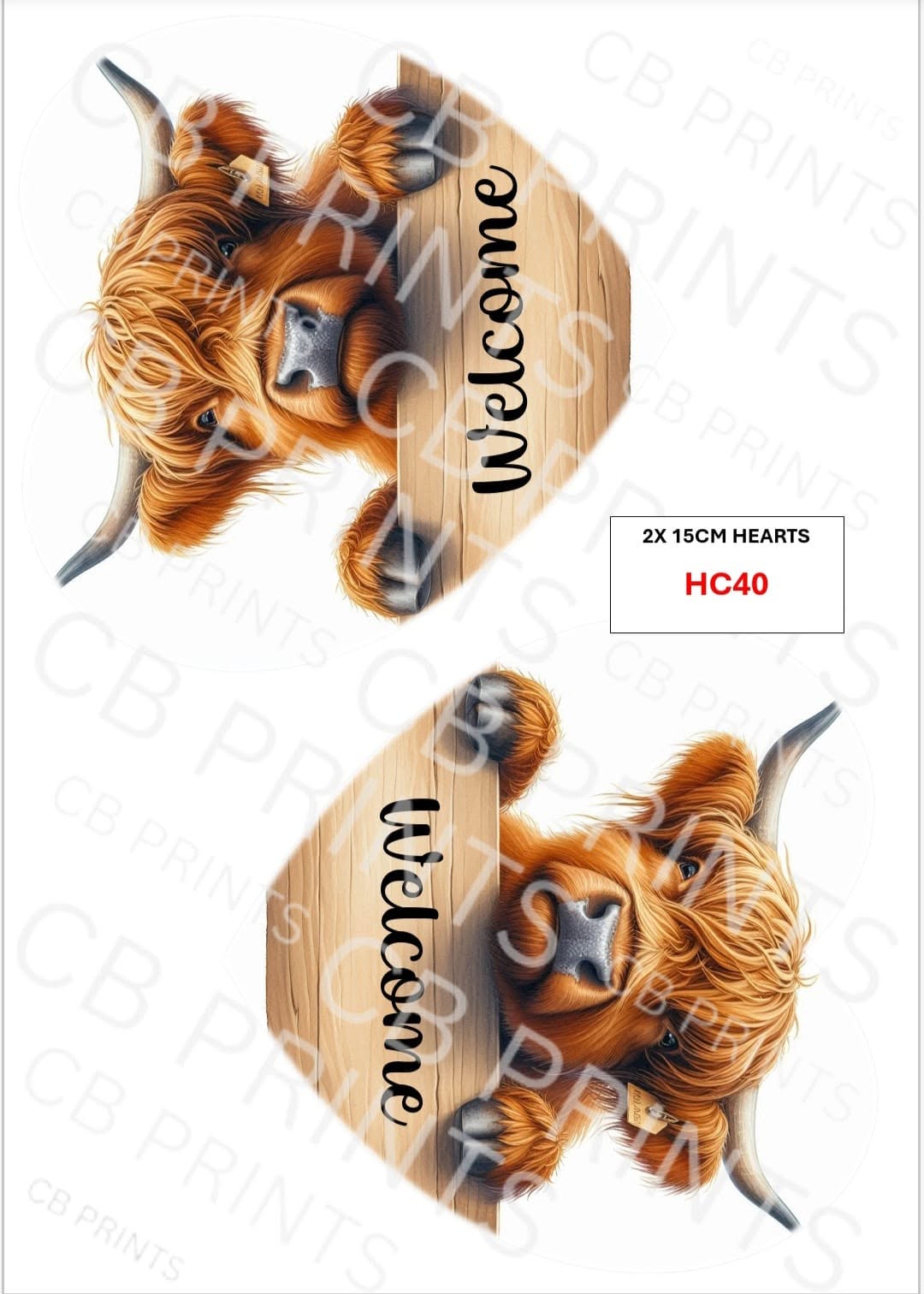 Highland Cow Decoupage Print HC40 | Mulberry Paper