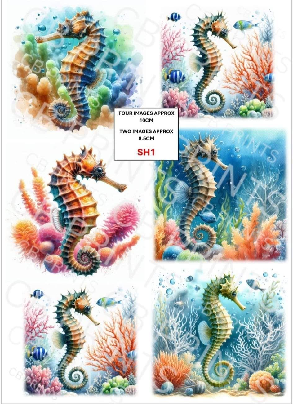 Seahorse Decoupage Paper Print SH1 – Beach Mulberry Paper