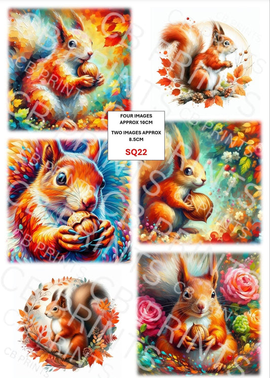Squirrel Decoupage Print SQ22 | Mulberry Paper