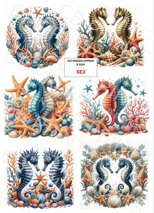 Seahorse Decoupage Paper Print SE3 – Beach Mulberry Paper