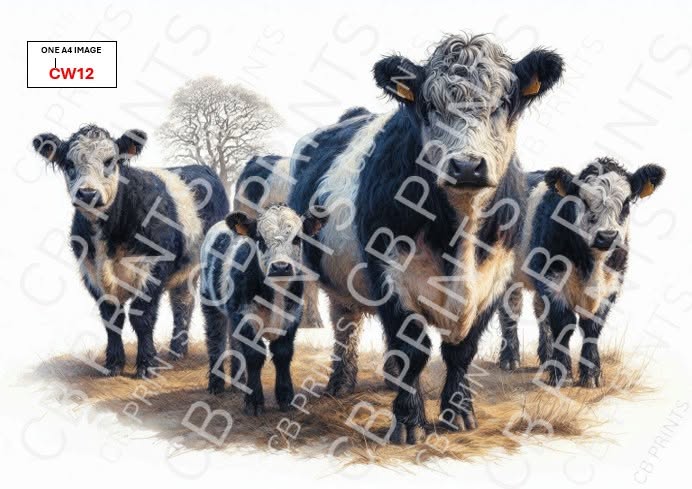 Belted Galloway Cow Decoupage Paper Print CW12 | Mulberry Paper