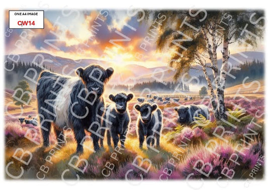 Belted Galloway Cow Decoupage Paper Print CW14 | Mulberry Paper