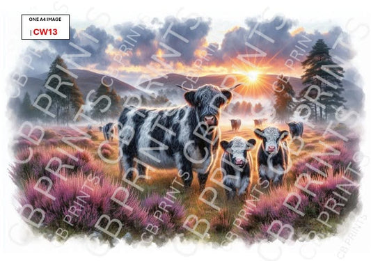 Belted Galloway Cow Decoupage Paper Print CW13 | Mulberry Paper