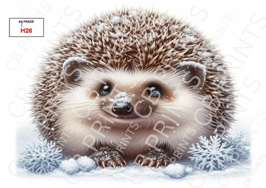Hedgehog Decoupage Print H28 | Mulberry Paper