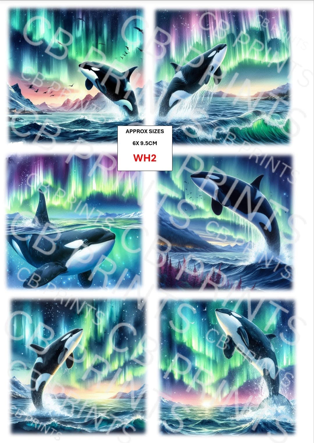 Whale Decoupage Paper Print WH2 – Beach Mulberry Paper