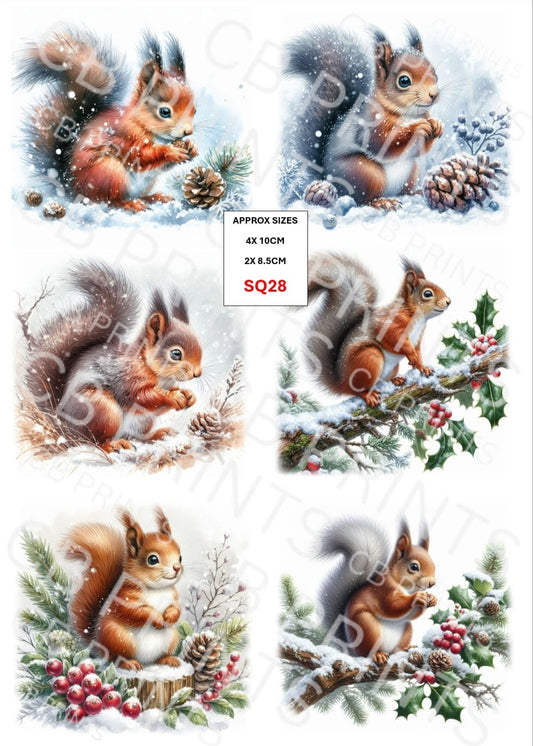 Squirrel Decoupage Print SQ28 | Mulberry Paper