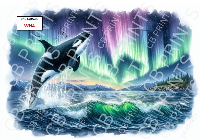 Whale Decoupage Paper Print WH4 – Beach Mulberry Paper