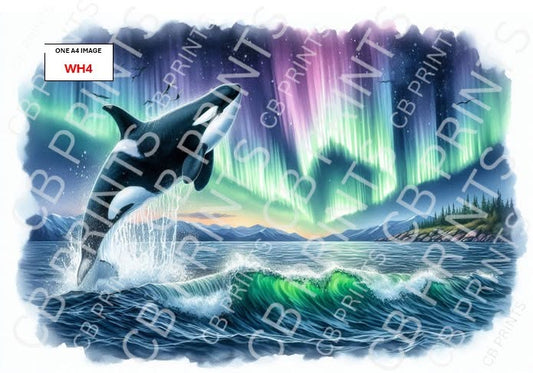 Whale Decoupage Paper Print WH4 – Beach Mulberry Paper