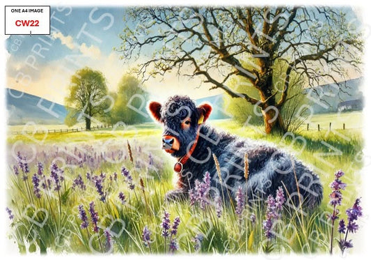 Belted Galloway Cow Decoupage Paper Print CW22 | Mulberry Paper