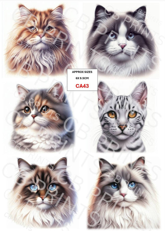 Cat Decoupage Paper CA43 – Mulberry Paper Print