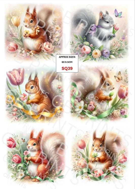 Squirrel Decoupage Print SQ39 | Mulberry Paper
