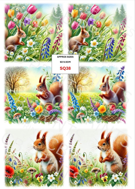 Squirrel Decoupage Print SQ38 | Mulberry Paper