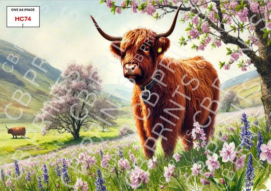 Highland Cow Decoupage Print HC74 | Mulberry Paper
