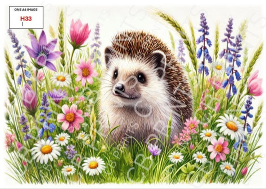 Hedgehog Decoupage Print H33 | Mulberry Paper