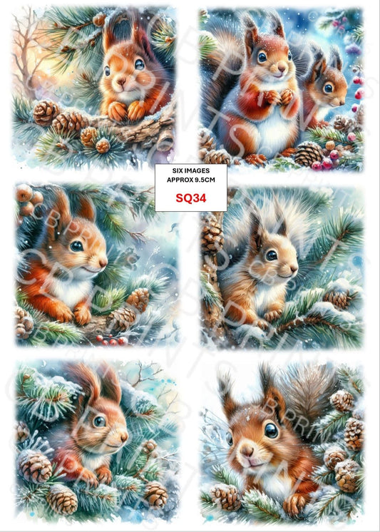 Squirrel Decoupage Print SQ34 | Mulberry Paper