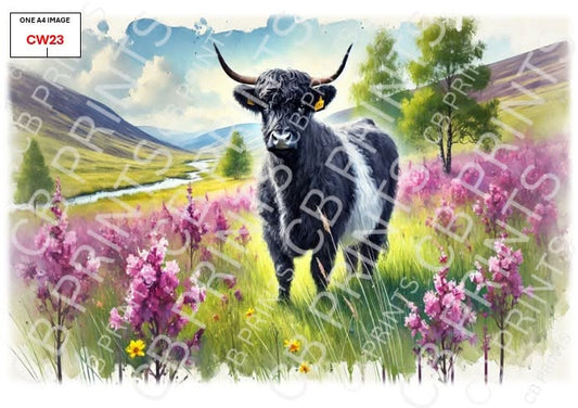 Belted Galloway Cow Decoupage Paper Print CW23 | Mulberry Paper