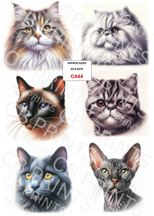 Cat Decoupage Paper CA44 – Mulberry Paper Print