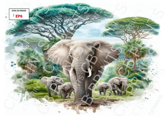 Elephant Decoupage Paper EP6 – Mulberry Paper Print