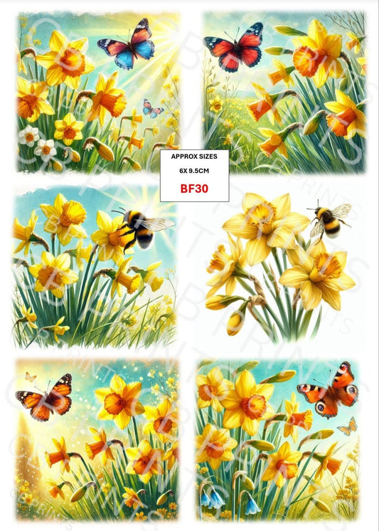 Mixed Bee and Butterfly Decoupage Print BF30 | Mulberry Paper