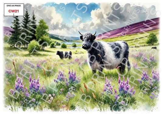 Belted Galloway Cow Decoupage Paper Print CW21 | Mulberry Paper