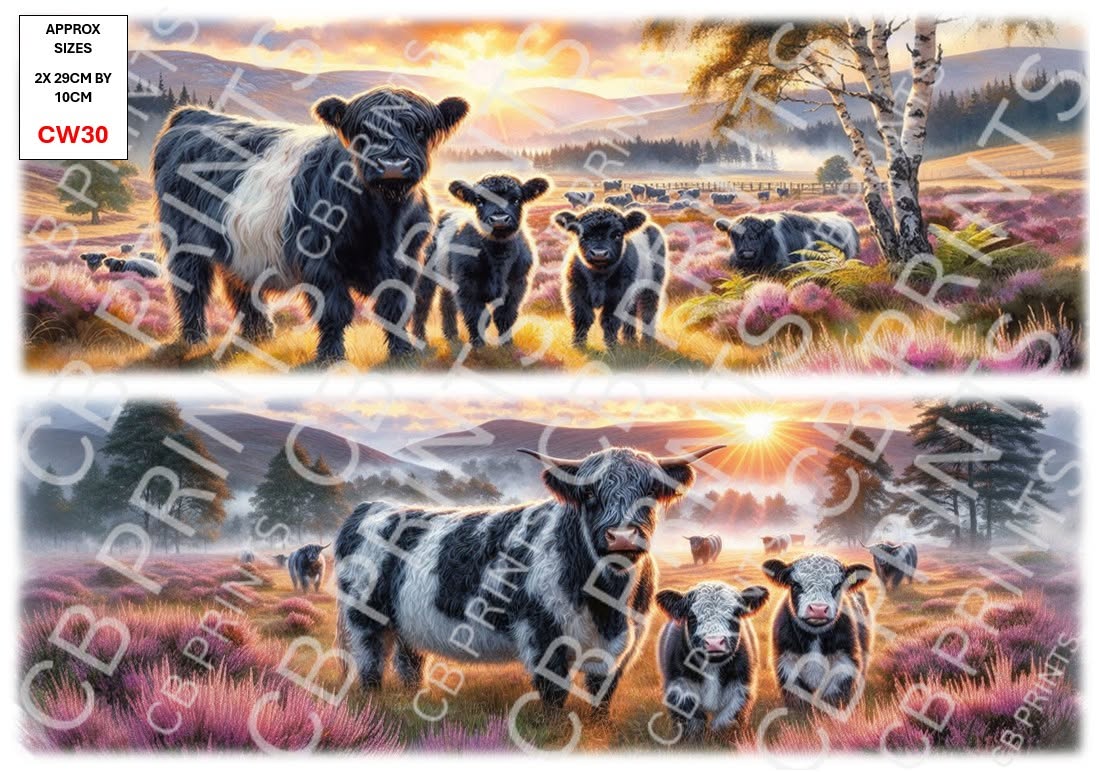 Belted Galloway Cow Decoupage Paper Print CW30 | Mulberry Paper